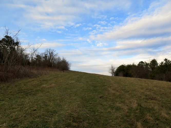 Picture 41 of Bearwallow Mtn and Blue RIdge Pastures Hike 122015