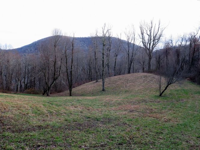 Picture 42 of Bearwallow Mtn and Blue RIdge Pastures Hike 122015