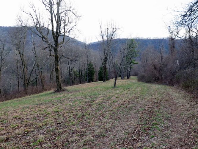 Picture 43 of Bearwallow Mtn and Blue RIdge Pastures Hike 122015