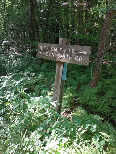 Excellent trail signs