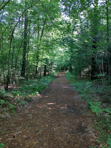Trail substrate 