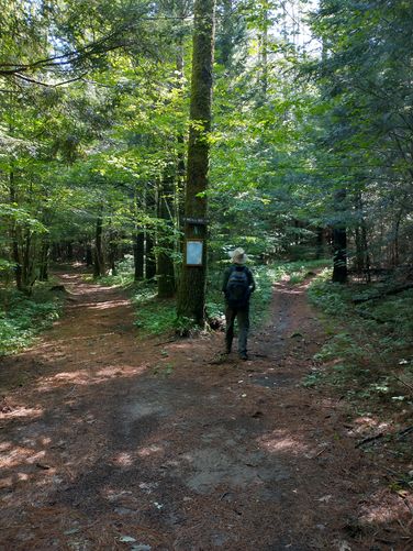 Signs at trail junction and occasionally maps too