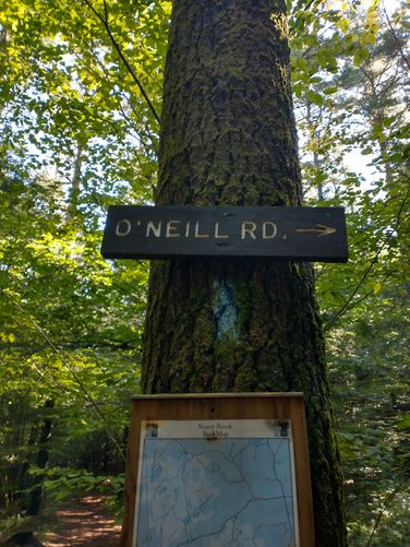 Excellent trail signs
