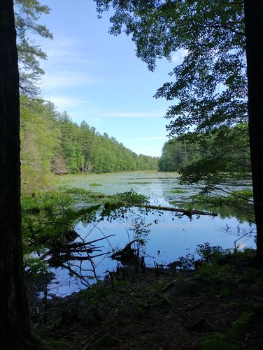 Default image for Spatterdock Pond Loop (BBA Hollis), a 4.0-mile trail in Hollis, NH (US)