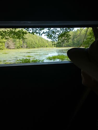 View from inside the bird blind