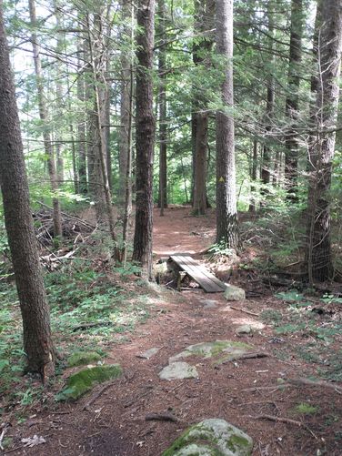 Trail substrate 