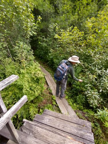 Excellent boardwalks 