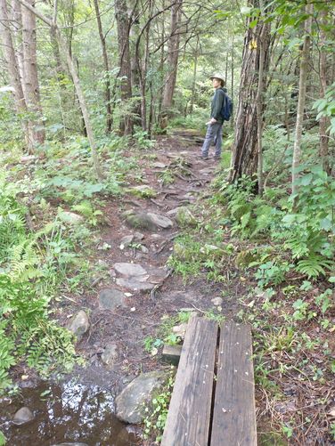 Trail substrate 