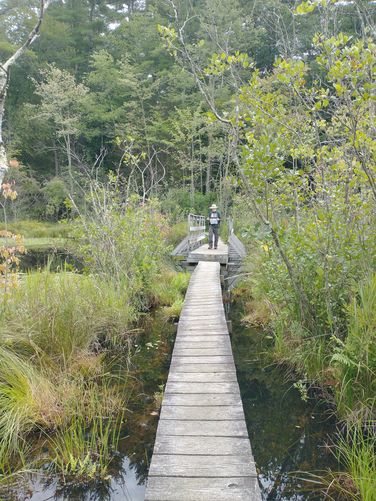 Bouchard Bridge and boardwalk