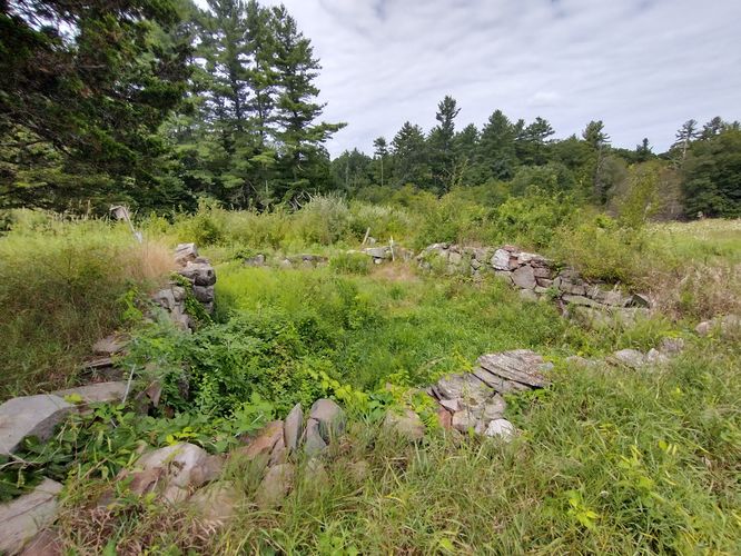 Old foundation at Shoen Farm Wildlife Management area 
