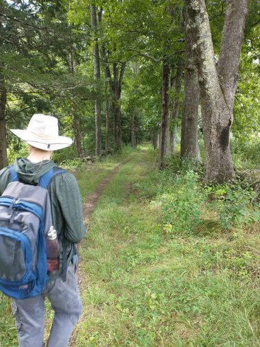 Shoen Road once used for wood roads and cattle trail 