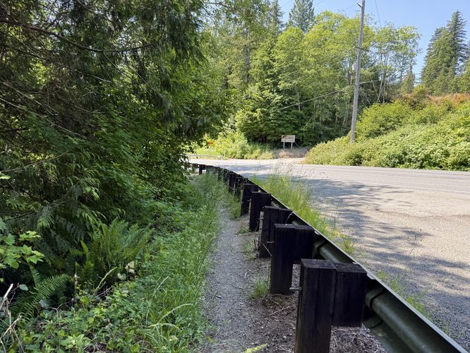 Roadside path leads down to Beaver Creek Falls