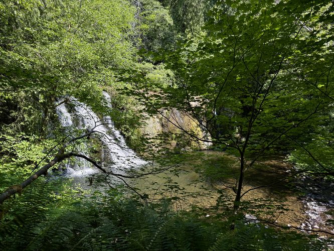 Obstructed view of Beaver Creek Falls from the trail