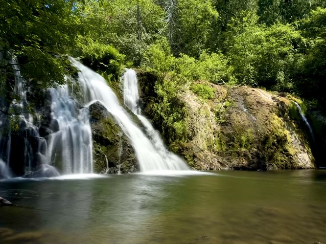 Default image for Beaver Creek Falls, a 0.2-mile trail in Beaver, WA (US)