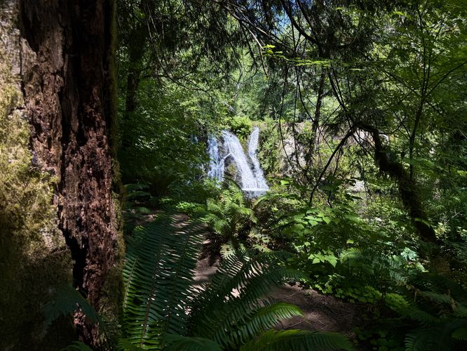 View of Beaver Creek Falls from the trail