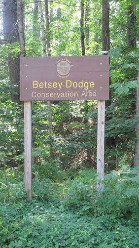 Conservation Area Sign 
