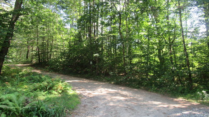 Dirt Road to parking area