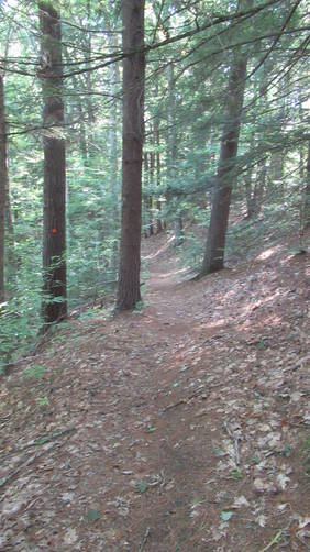 Trail slopes down to the river bed