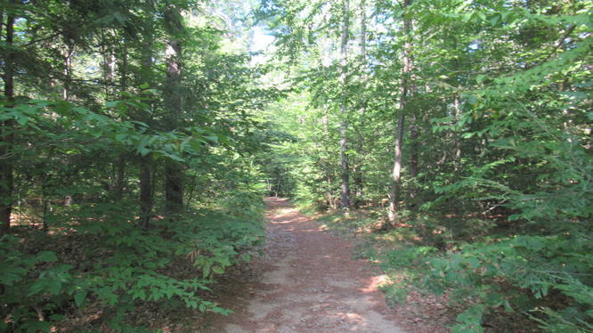 Trail abuts private land along an old wood road