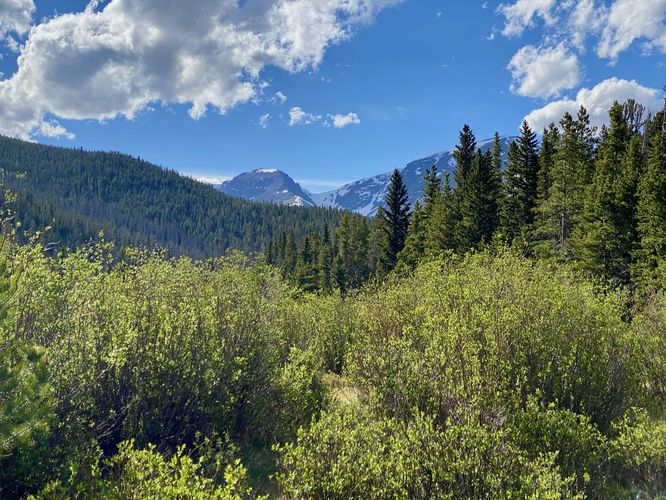 View of mountains from the Hidden Valley Creek
