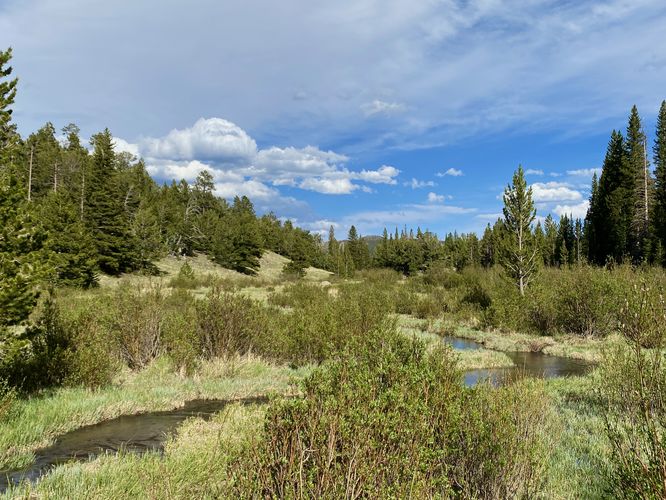 Hidden Valley Creek winds through the valley