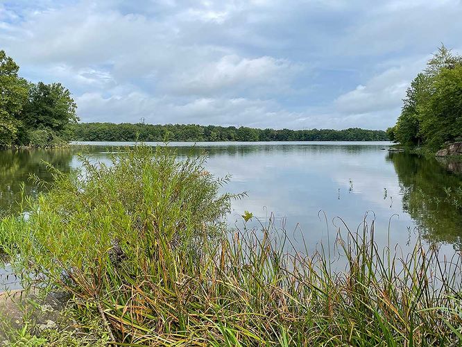Default image for Beaverdam Reservoir Hike, a 7.6-mile trail in Brambleton, VA (US)