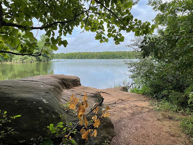 Picture 4 of Beaverdam Reservoir Hike 081921