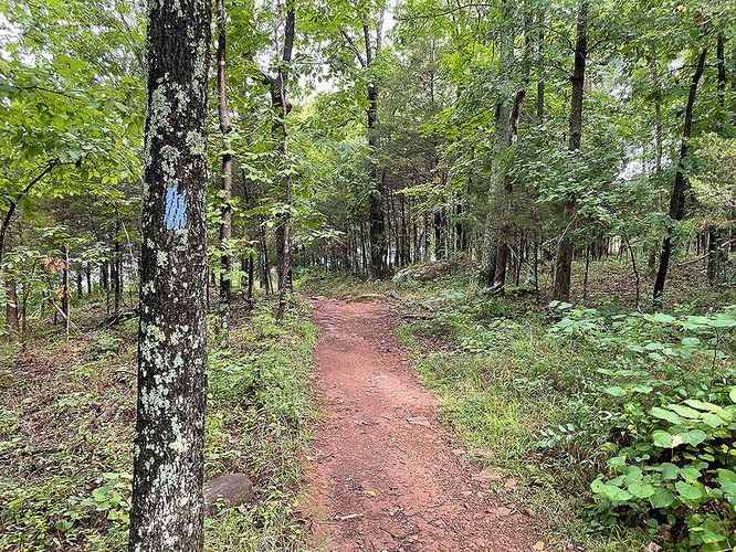 Picture 5 of Beaverdam Reservoir Hike 081921