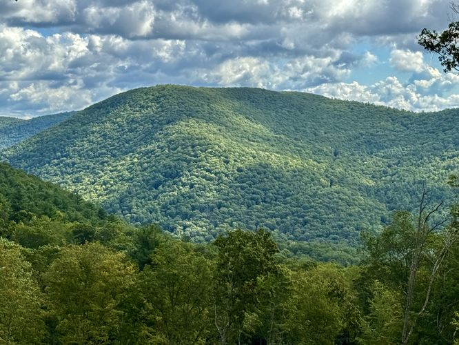 Default image for Bee Tree Hollow Trail, a 5.0-mile trail in Wellsboro, PA (US)
