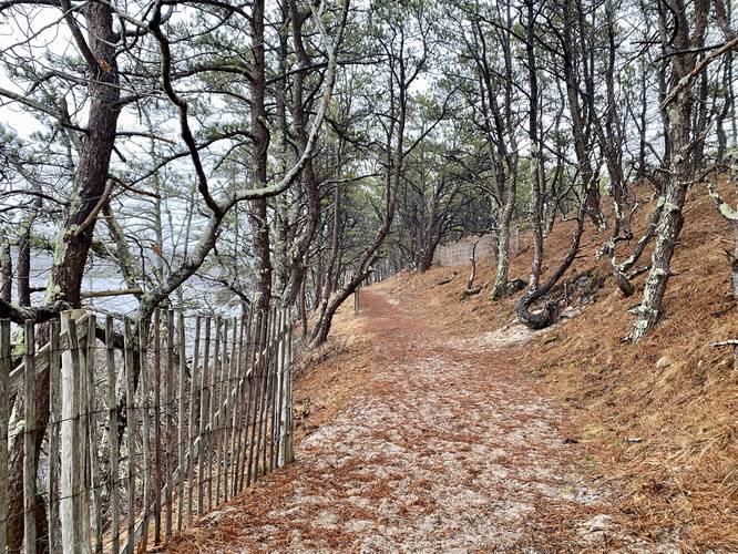 Sandy Beech Forest Trail leads along the western side of the pond