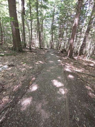 Upper Falls trail substrate