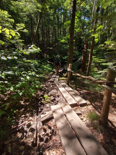 Boardwalk to upper falls