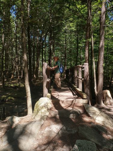 Boardwalk leading to the Cow Cave
