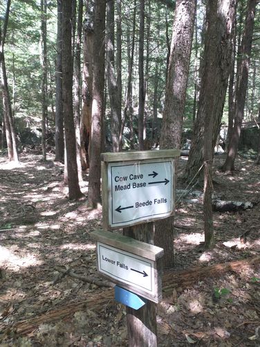 Posted trail sign