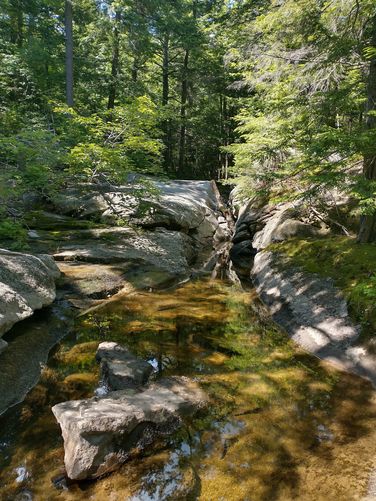 Views from the Lower Falls Trail