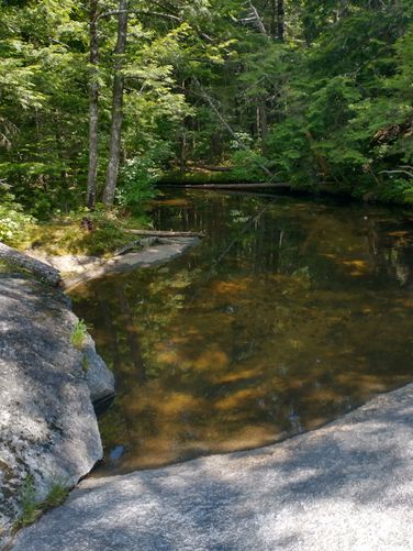 There are lots of places to wade in and cool off