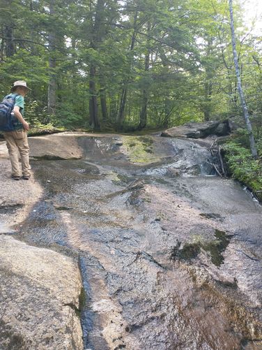 View of the Lower Falls