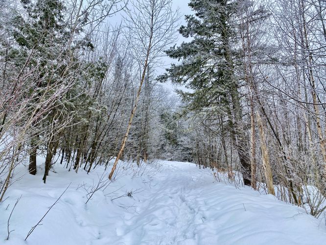 Hiking up through the snowy Belfry Mountain Trail