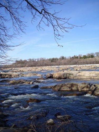 Picture 13 of Belle Isle Hike 022109