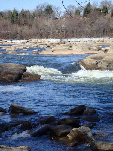 Picture 15 of Belle Isle Hike 022109