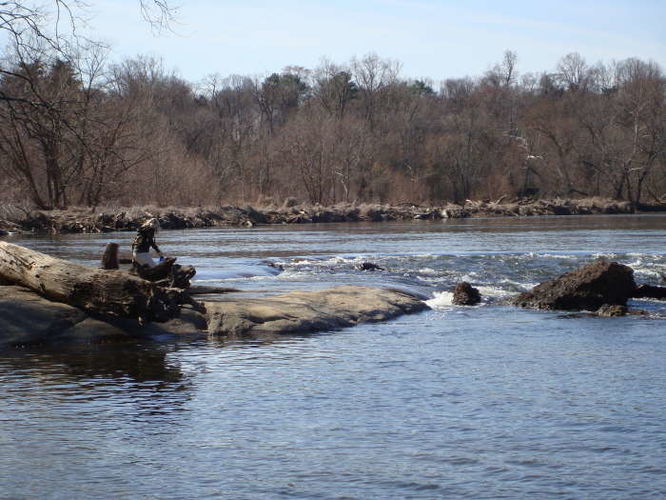 Picture 34 of Belle Isle Hike 022109