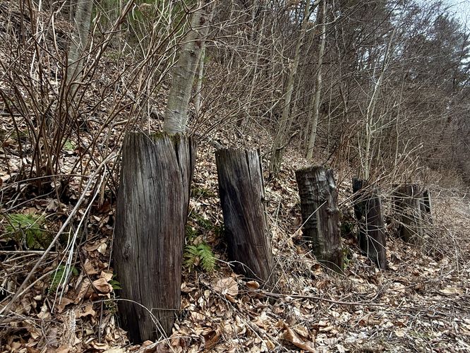 Picture 9 of Benjamin Hollow Falls and Clay Mine Falls