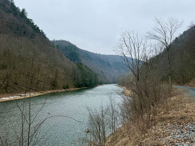 View of Pine Creek and the steep walls of the gorge