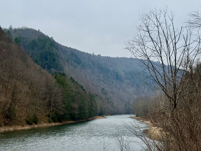 View of Pine Creek and the steep walls of the gorge