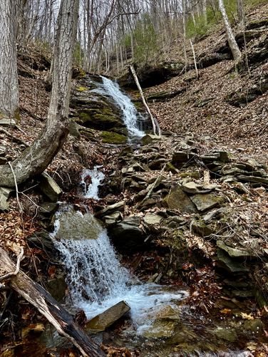 Picture 16 of Benjamin Hollow Falls and Clay Mine Falls