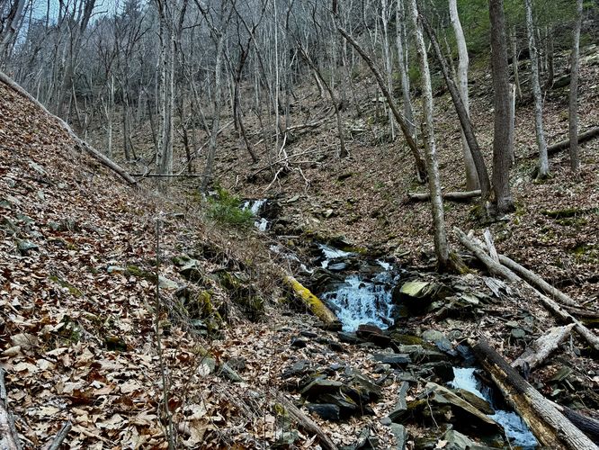 Hiking upstream to reach Benjamin Hollow Falls