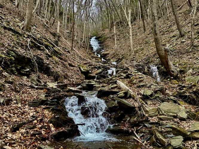 Downstream view of Benjamin Hollow Falls