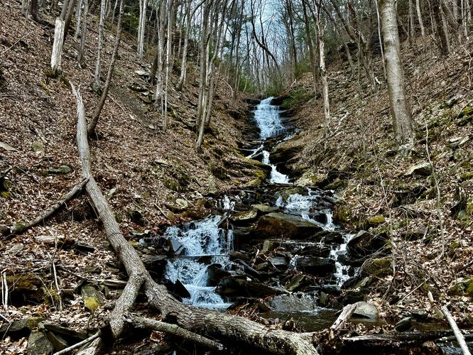 Downstream view of Benjamin Hollow Falls