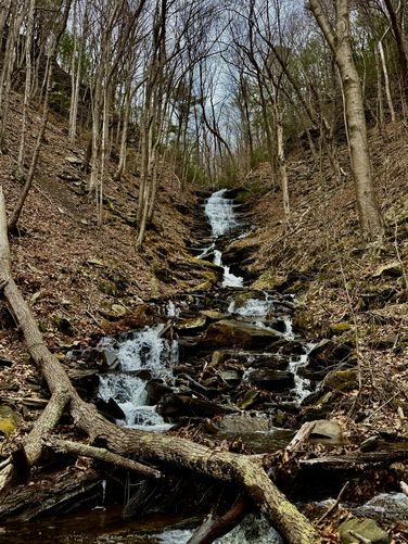 Picture 27 of Benjamin Hollow Falls and Clay Mine Falls