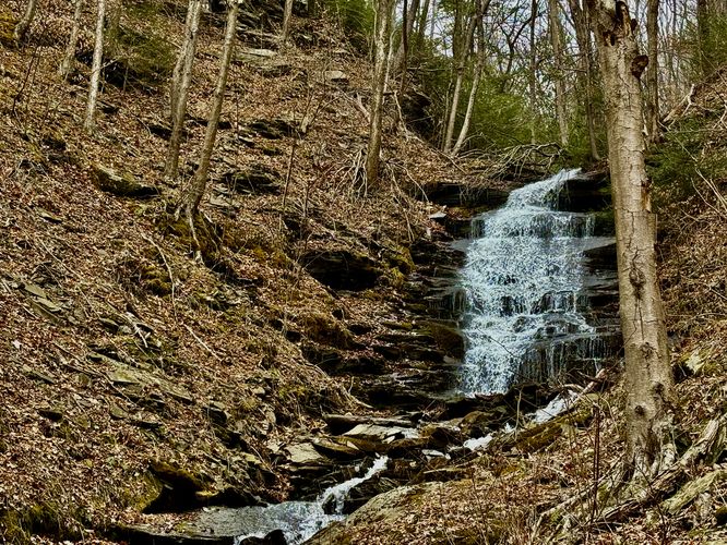 Picture 32 of Benjamin Hollow Falls and Clay Mine Falls